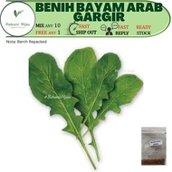 100++ BENIH GARGIR GARGIL BAYAM ARAB arugula anggaran 0.7 gram seeds