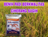 5KG BIBIT BENIH PADI CIHERANG SUGIH ORIGINAL LABEL PUTIH