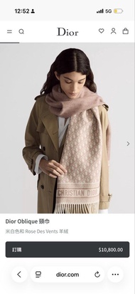 Dior Oblique Scarf Rose Des Vents 頸巾