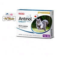 Antinol  For Cat 60 Cap ( อาหารเสริมบำรุงข้อสำหรับแมว 1กล่อง บรรจุ60เม็ด )
