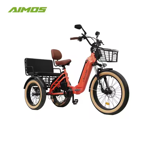 Aimos Family Electric Trike 500W/750W/1000W Rear Drive Motor 3 Wheel Cargo Electric Bike High Power 