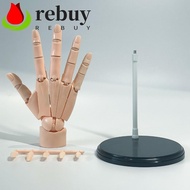 REBUY Articulated Hand Model, Left/Right Flexible Anatomically Accurate Jointed Hand, Poseable Adjus