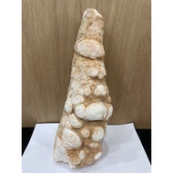 D5050 Natural Thai Dragon Palace Relic Raw Ore Jade White Rough Stone Decoration