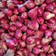 bawang merah Brebes super besar