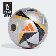 Adidas/Adidas Genuine EURO24 LGE F Men Women Sports Training Football IX4046