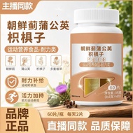Genuine] Artichoke Dandelion Dandelion Authentic] Artichoke Dandelion Thunb ts Selection20260629