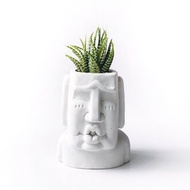 (現貨) 療癒摩艾第四彈 色色摩艾 十二之光水泥多肉植栽