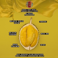 [Chng Kae] Fresh Durian 500g Black Thorn, MSW, Tekka, Red Prawn, D24 XO, D101