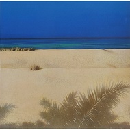 Used CD Paul Brown & Friends(Boney James David Benoit Al Jarreau)- White Sand (A)(Guitar)(Jazz)(inst