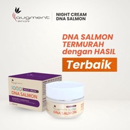 Night Cream DNA Salmon Skincare Augment BPOM whitening brighteningOriginal