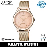 Citizen EM0503-83X Eco Drive Ladies Mesh Watch