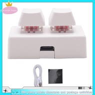 2 Keys Macro Programming Keyboard RGB Mini Keyboard Gaming Drawing Red Switch Custom Keyboard OSU Ga