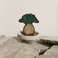 巨鳳之卵刺繡別針 Boophane haemanthoides