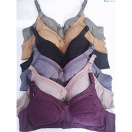 Bra wireless B008 C cup Bra tanpa besi tanpa dawai baju dalam wanita 36-46C