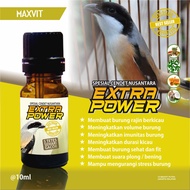 VIT BURUNG SPESIAL CENDET