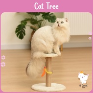 Cat Toy Scratcher Wooden Cat Scratch Play Cat Tree Bed Play Toy Scratching Post Board Cat Toy Mainan Kucing Rumah Kucing