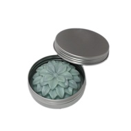 X-Haibei 2 Tin Container for Lotion Bar Soap Hair Wax Skin Moisturizers Solid Shampoo Conditioner Ba