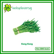 *150 / 500 / 3000 seeds* Kang Kong / Kangkong / Water Spinach