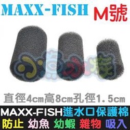 【小魚水族】【MAXXFISH、進水口保護棉套、M號】入水口棉套、保護套、炸彈頭保護套、防止幼魚幼蝦吸入