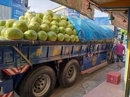 🔥全台缺西瓜但這裡四季都有西瓜🍉🔥花蓮大西瓜批發外送🚚🏅️專營果汁店、生鮮超市、冰店、大賣場🏅️