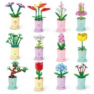 Small Particle Building Blocks Assembled Toys Sixth Girl Gift Zodiac Lucky Flower I0QJ
