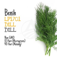 BENIH Dill | Dill Seeds 莳萝籽 种子