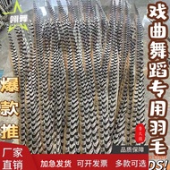 Feather Dance Props Feather Headdress Feather Chicken Feather Peking Opera Huadan Wild Pheasant Feat