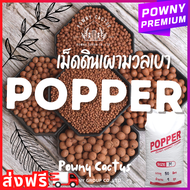 เม็ดดินเผา มวลเบา popper ป๊อปเปอร์ 1 ลิตร และ 100 กรัม หินป๊อปเปอร์ (Popper) popper S M L XL XXL 2XL