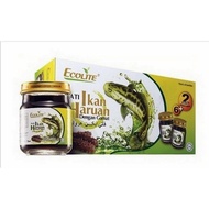 Ecolite Pati Ikan Haruan &amp; Gamat (70ml X 6 Bottles) Free 2 Bottles