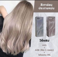 Berina Earth Gray สีเทาหม่น A21,A38 (รวม 2 กล่อง)