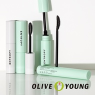 ENTROPY Brow Lift Perm