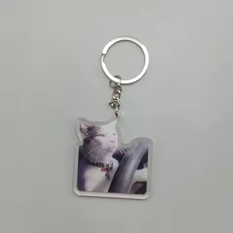 Cat Meme Louie The Driving Cat Meme Funny Cat Cute Cat Cool Keyring Shiny Keychain Ornament Gift For