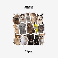 CAT MEME STICKER PACK AESTHETIC CAT STICKER | LAPTOP stickers | TUMBLER STICKERS | HP STICKERS