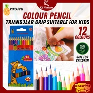 PINEAPPLE 12 Triangular Colour Pencil Wood 12L Pensel Warna Pensel Warna Art Painting Warna Pensil