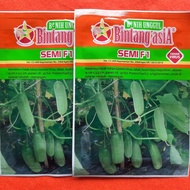 SALE!! BIBIT TIMUN LALAP SEMI F1 [ISI 20GR] - BENIH TIMUN LALAP