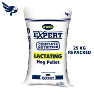 ◙B-MEG Expert Complete Nutrition Lactating Hog Pellet 25KG - Pig - BMEG Feeds - petpoultryph