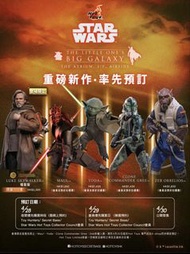 Hot Toys Star Wars Collectible Figures