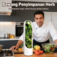 Herb Storage Container for Vegetables, Basil, Onions, Celery DANU Storage Container