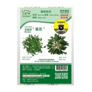 花田綠地康菜種子-芝麻菜黃芝