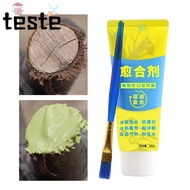 Grafting Tree Sealer, Smear Agent with Brush Tree Wound Sealant,  Tree Repair 100g Plant Restoring S