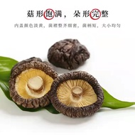 大马现货 香菇干货特级香菇 无根椴木香菇 100g