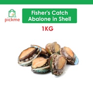 Fisher's Catch Abalone in Shell 1kg - Frozen