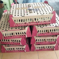 Doc Anakan Ayam Kampung Joper Double Vaksin 1 Box 100 Ekor New Stock