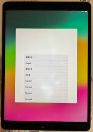 IPAD PRO 10.5吋 64G WIFI A1701 (含Apple Pencil 第一代）