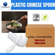1 BOX Clear Plastic Spoon Food Grade Soup & Dessert Spoon for Big Events Gathering