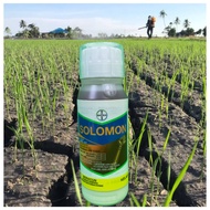 [ORIGINAL] 500ml SOLOMON BAYER RACUN SERANGGA PEROSAK Thrips/ whitefly