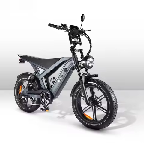 new GT20 20 Inch Fat Tire Fatbike 750w Ebike Bicycle Bike Electric Mountain Bike for Sale
