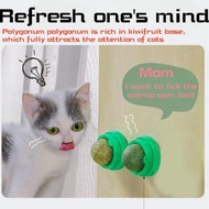 Rotating Natural Catnip Ball Molars Cleans Teeth Bites Catnip Balls Healthy Promote Digestion Cat Gr