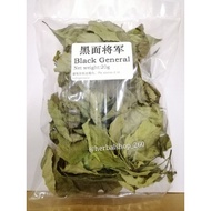黑面将军Black General Pecah  Beling(20g)