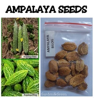 Ampalaya seeds bilog | haba (16seeds )